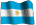 Flag in Honor of Argentina