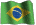 Flag in Honor of Brazil