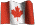 Flag in Honor of Canadá 